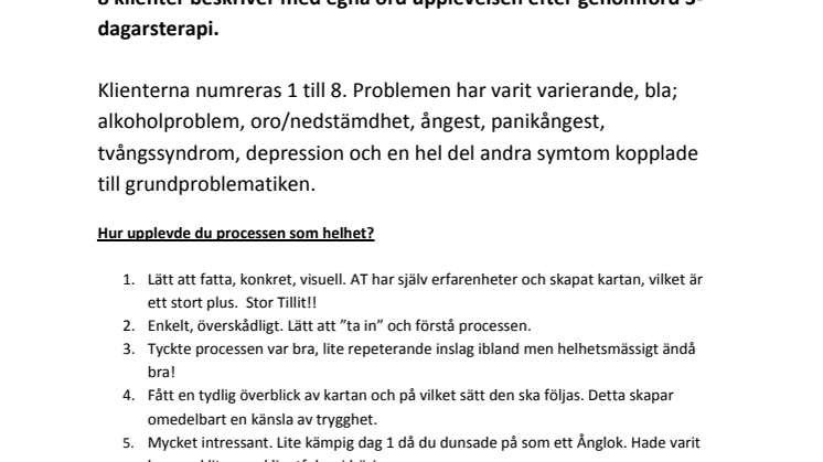 8 klienter utvärderar 3-dagarsterapi
