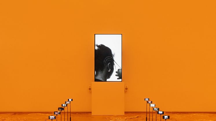 Jeannette Ehlers, Coil: The Sensuous Way of Knowing, 2022