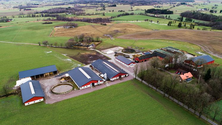 Nyhemsgård 