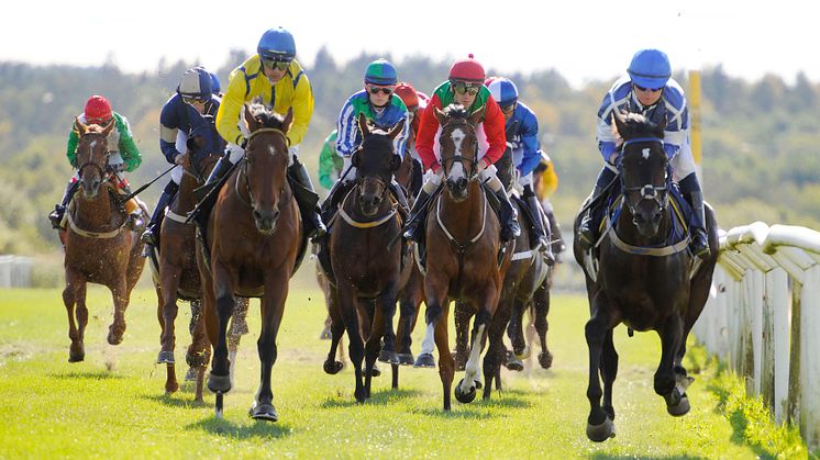 Göteborg Galopp