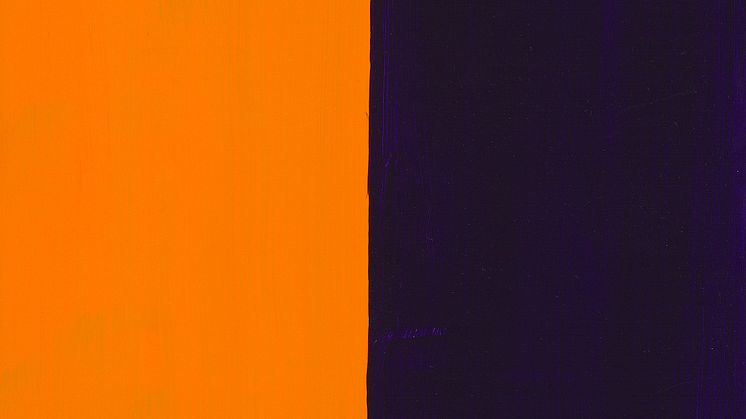 Günther Förg: Uden titel (2001)