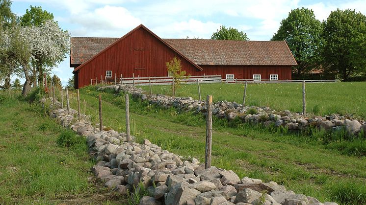Vallby Sörgården, fägatan