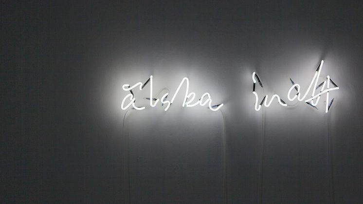 Conny Karlsson Lundgren, ... behöver ... älska inatt, 2018. Detalj. Foto: Conny Karlsson Lundgren