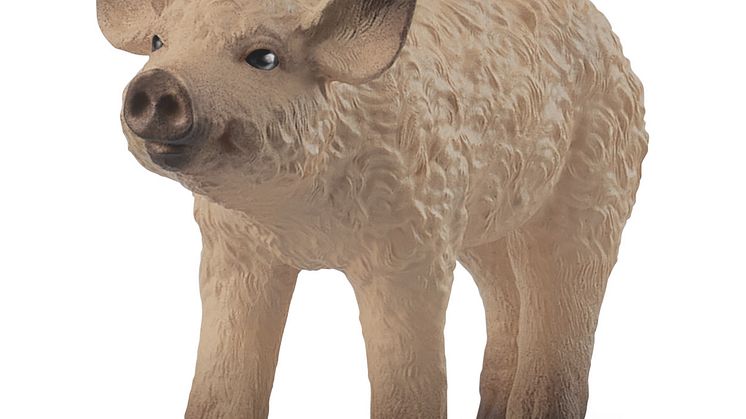 14893_Farm World_Mangalica Piglet_(c)schleich®