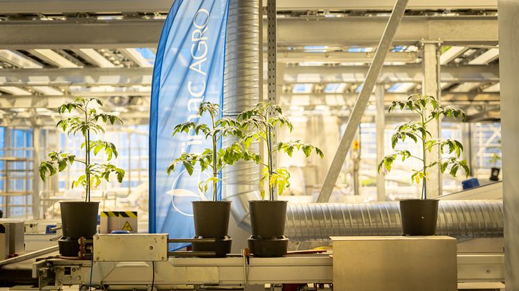 TIMAC AGRO Österreich: Der wissenschaftliche Innovationsprozess für eine nachhaltige Landwirtschaft