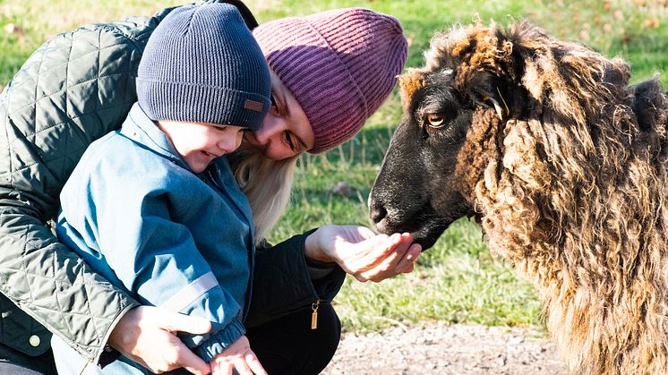 Skånes Djurpark håller öppet 20-28 februari med sportlovsaktiviteter för hela familjen.