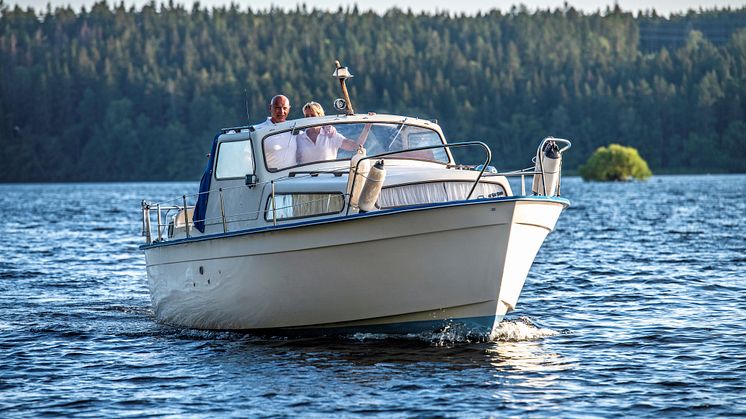 Albin 25