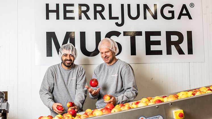 Mostafa "Musse" Heravi och Johan Branmark i havet av äpplen