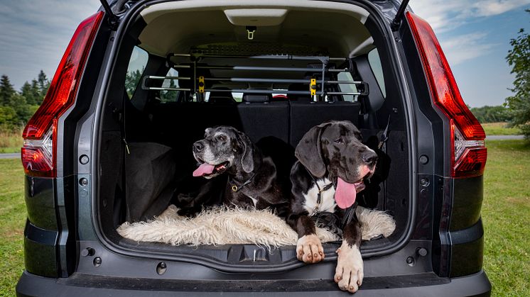 006 220815 Dacia Jogger og hunde