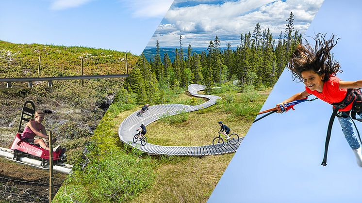 Sommarnyheter hos SkiStar Trysil och Hemsedal: Mountain Coaster, Mountain Tube och massor med cykelnyheter för hela familjen
