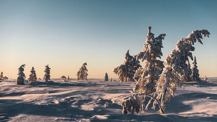 Sälen snö januari 2021