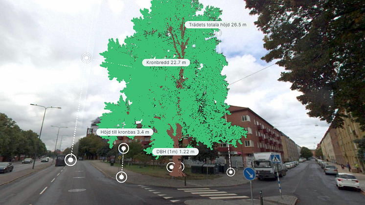 Nobelvagen_scan