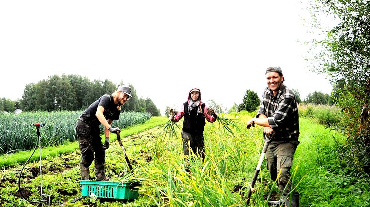 Hof Rekola in Finnland_Sektion fuer Landwirtschaft am Goetheanum