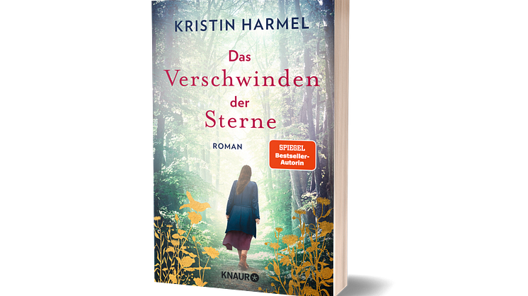 Das Verschwinden der Sterne Cover