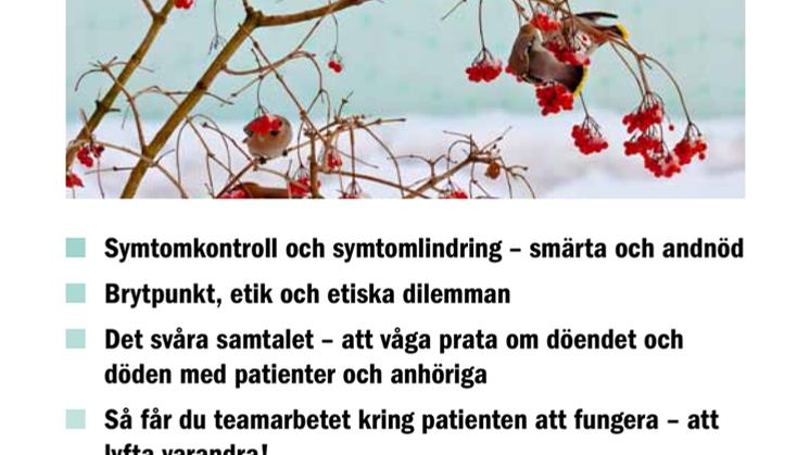 Information om konferens i palliativ vård