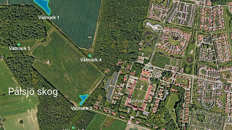 Nya våtmarker i Pålsjö skog