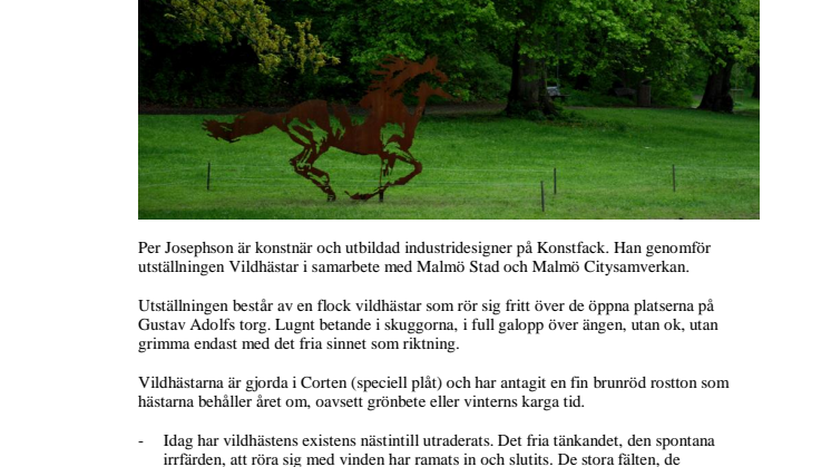 Vildhästar i city