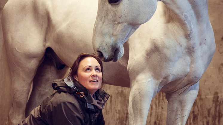 Swedish Select Horse Sales