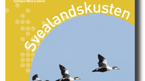 ​Ny rapport om kustens miljö