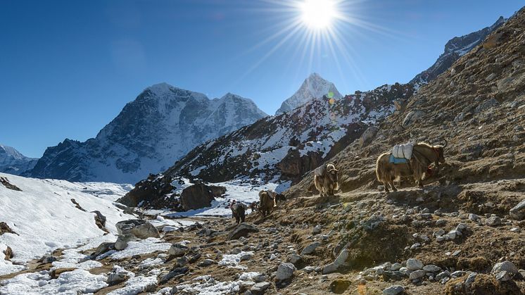 Everest base camp