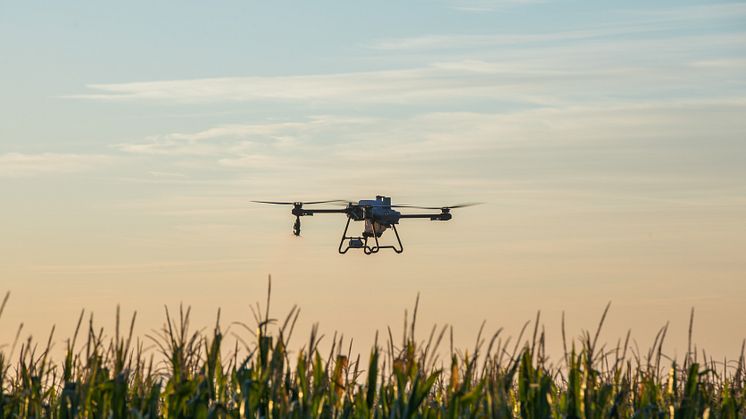 DJI T25-6.jpg