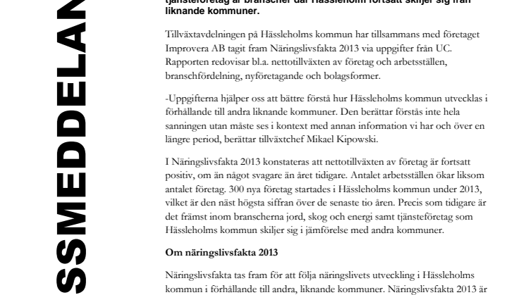 Näringslivsfakta 2013 - 300 nya företag i Hässleholm!