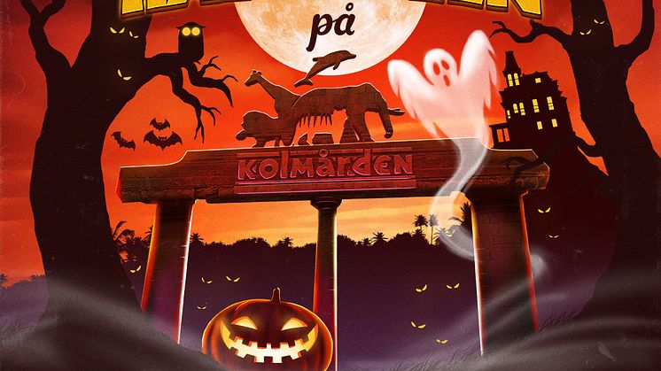Evenemangstips - Rysmysig Halloween på Kolmården