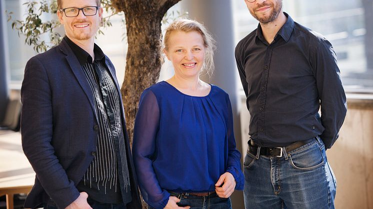 Nya perspektiv på individuell och kollektiv ledarskapsutveckling i komplexa organisationer