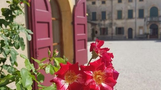  Italien - Verona, Valpolicella och Gardasjön