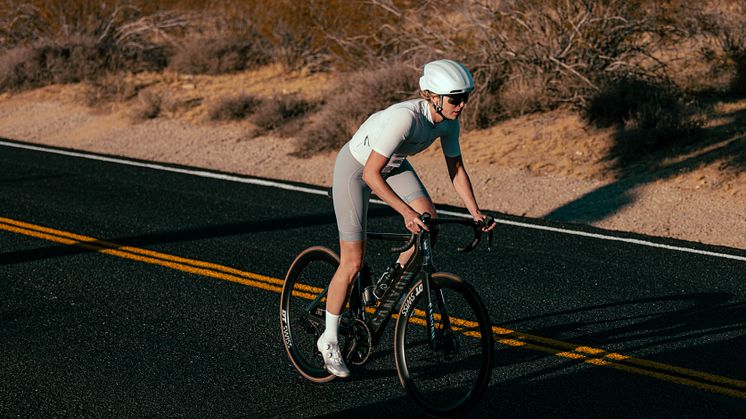 fizik_vega_14.jpg