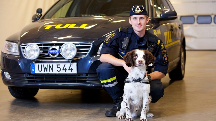Zak är Årets narkotikasökhund 2014