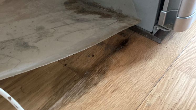 De flesta vattenskador sker i köket, oftast orsakas de av kyl eller frys.