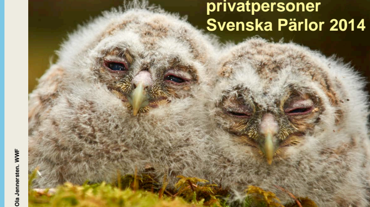 Opinionsundersökningen om bin