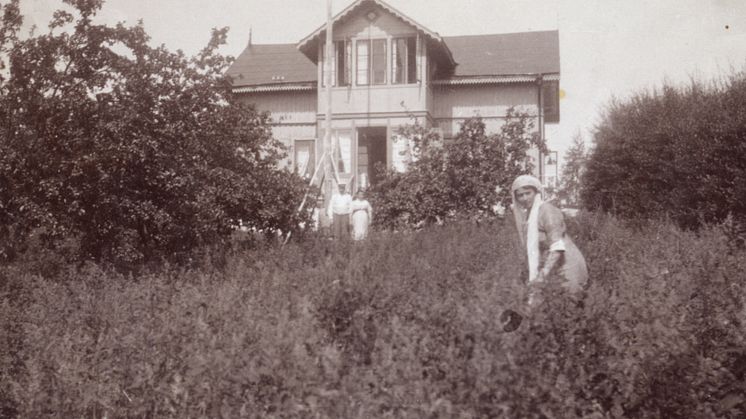 JB1240.jpg