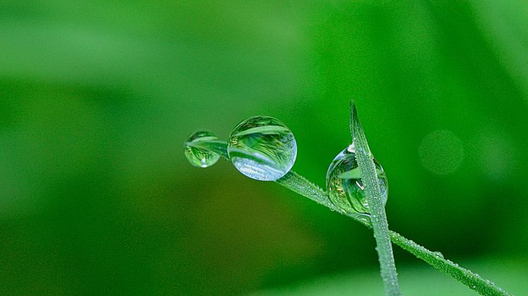 Konferensen tar upp frågor om både för lite och för mycket vatten. Foto: Pixabay