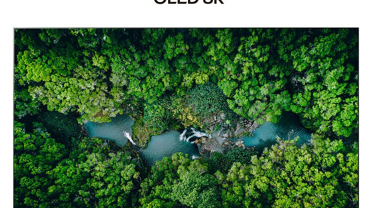 LG SIGNATURE OLED 8K