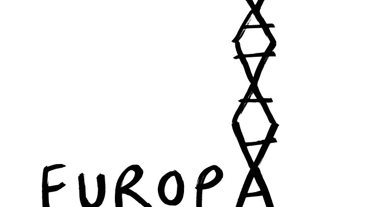 Desen Dan Perjovschi (3).jpg