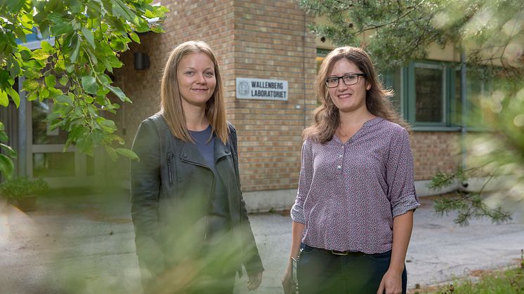 Regina Gratz och Zsofia Reka Stangl, Sveriges lantbruksuniversitet, Umeå, ingår i samma forskargrupp som professor Torgny Näsholm, mottagare av Marcus Wallenbergpriset  2018.