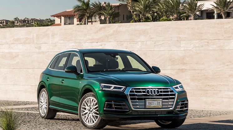 Audi Q5 Azores green