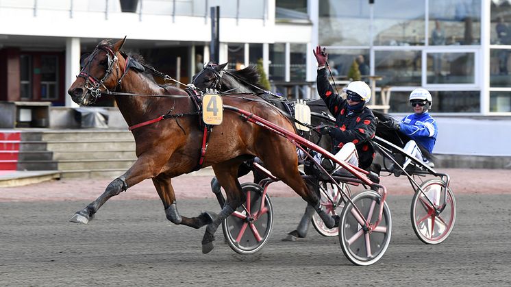Délia du Pommereux vann Paralympiatravet 2021. Kan hon försvara sin titel i år? Foto: Malin Albinsson/TR-Bild