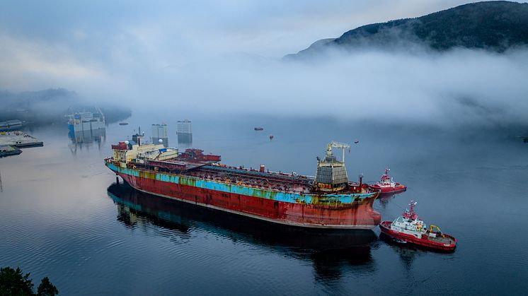 Curlew på sjøen.jpg