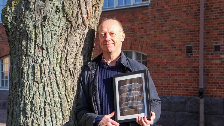 Professor Ingemar Jönsson med den tavla med foton på Mesobiotus joenssoni han fick av sina italienska forskarkollegor som namngett den nya arten efter honom.
