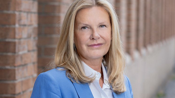 Mariette Hilmersson, vd