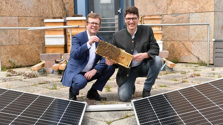 Bienenvolk SSKM_2