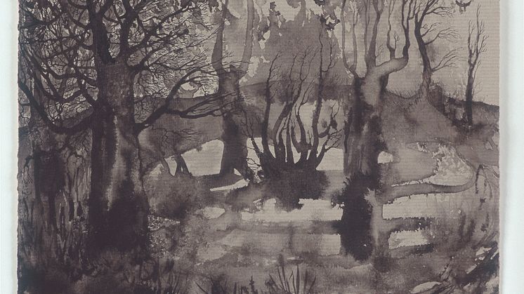 Elina Merenmies, Swamp, 2004