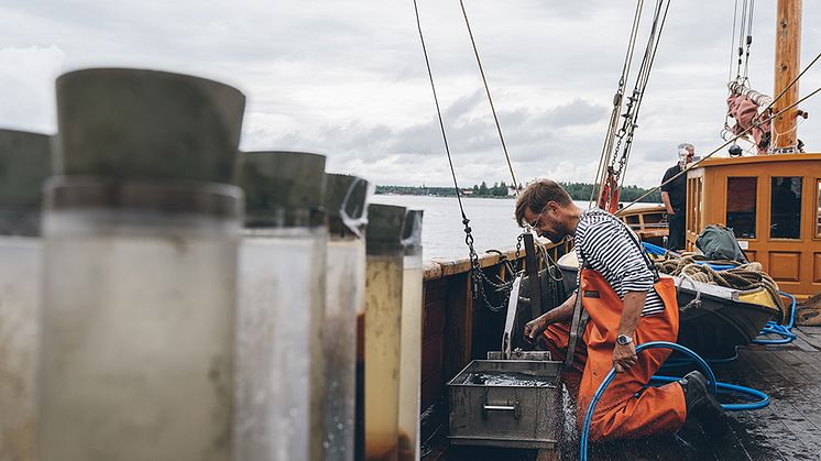 Provtagningar görs vid en rad stora industrianläggningar utmed Norrlandskusten. På bilden syns IVL:s Magnus Karlsson utanför Rönnskär, Skellefteå. Foto: Jonas Westling