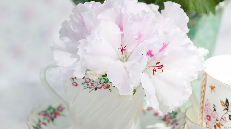 Blommor på mors dag – en kär tradition