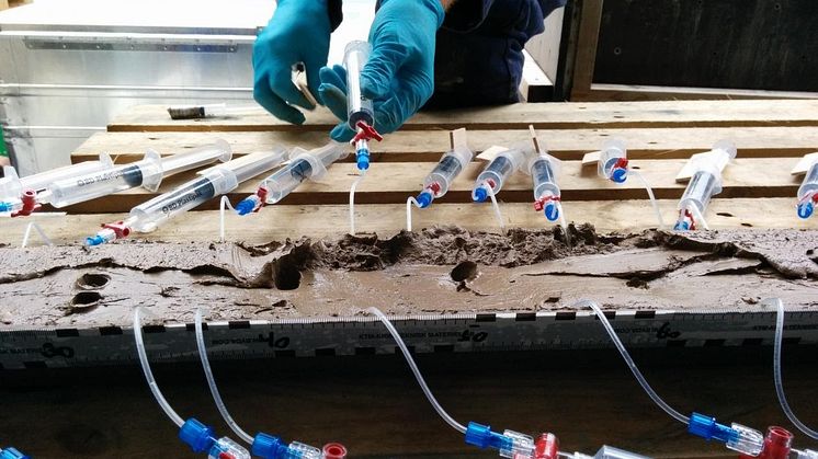 Collection of porefluid from sediment core for geochemical analysis.Photo_Michael Melcher