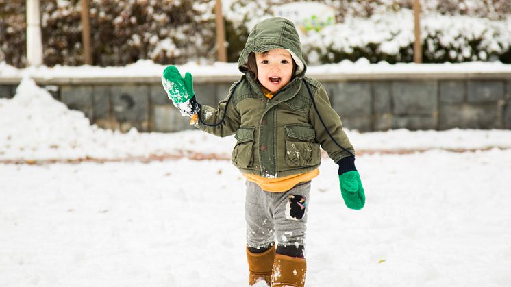 iStock_39014042_LARGE
