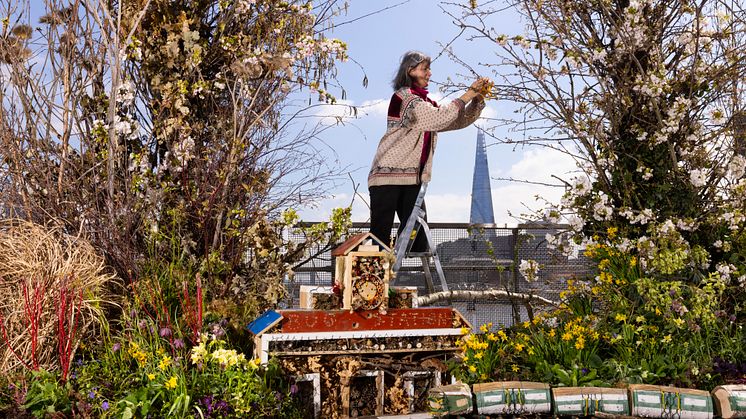 Alice McCabe puts the finishing touches to the living art installation